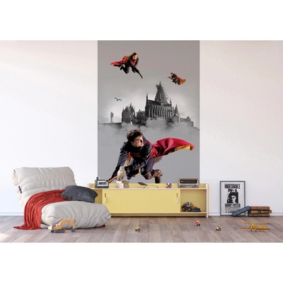 Ag Design FTD2P-5613 Dětská vliesová fototapeta na zed' Harry Potter Famfrpálové Trio, rozměry 150 x 270 cm
