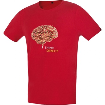 Direct Alpine Flash brick brain