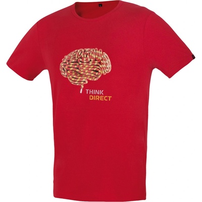 Direct Alpine Flash brick brain