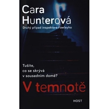 V temnotě - Cara Hunterová