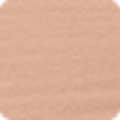 Shiseido Synchro Skin Self-Refreshing Foundation dlouhotrvající make-up SPF30 310 Silk 30 ml