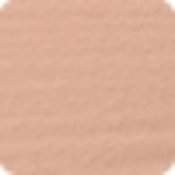 Shiseido Synchro Skin Self-Refreshing Foundation dlouhotrvající make-up SPF30 310 Silk 30 ml