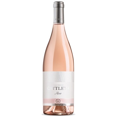 CATTLEYA Катлея Розе