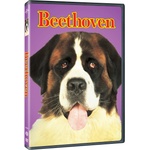 MagicBox Бетовен - dvd (064723)