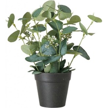 Boltze Home Umělá rostlina SAGE, eukalyptus v květináči, 30 cm