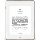 Barnes & Noble Nook Simple Touch with Glowlight