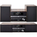 Blaupunkt MS46BT