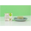 Kvitok Tea Tree tuhý šampón na mastné vlasy 25 g