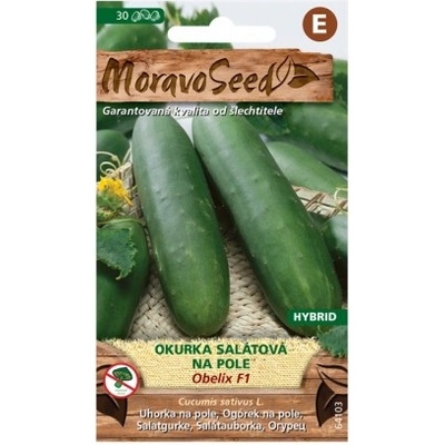 MORAVOSEED Okurka salátová OBELIX F1 - hybrid, na pole