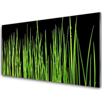 Obraz na skle Plevel 100x50 cm