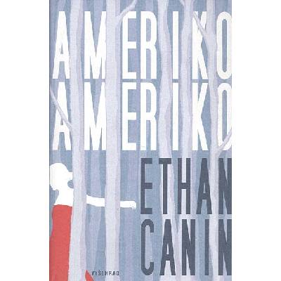Ameriko, Ameriko - Ethan Canin