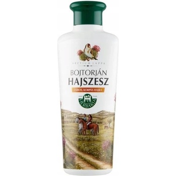 Herbaria Banfi Vlasový aplikátor Lopúch 250 ml