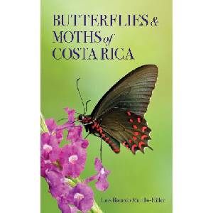 Butterflies and Moths of Costa Rica (ISBN: 9781501781605)