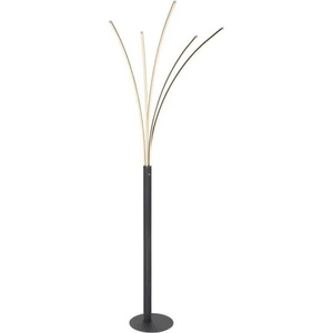 GLOBO Bizzy 59229B