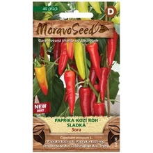 Semínka MoravoSeed Paprika kozí roh sladká SORA 64508