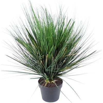 Cibuľová tráva zelená v kvetináči, 70cm