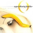 A PERFECT CIRCLE: THIRTEENTH STEP LP