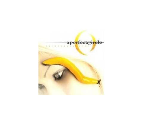 A PERFECT CIRCLE: THIRTEENTH STEP LP
