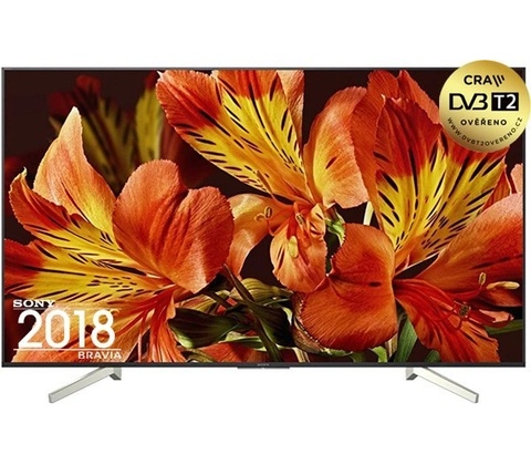 Sony Bravia KD-65XF8596