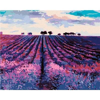 Zuty Malování podle čísel Levandulové pole a stromy v dáli 80 x 100 cm vypnuté plátno na rám