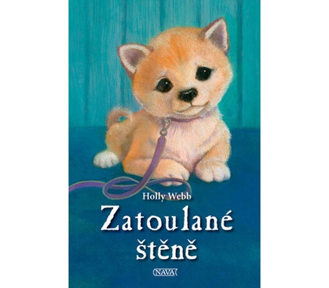 Zatoulané štěně