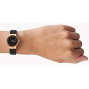 Image 1 of Skagen SKW3004