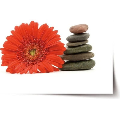 Sablio Plagát Gerbera s kameňmi - 90x60 cm