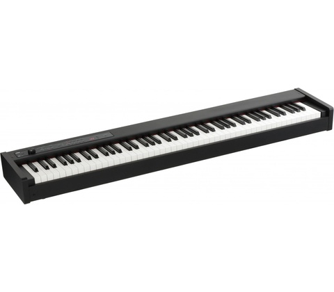 Korg D1