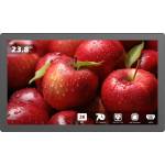 EVOBOARD TP-238B