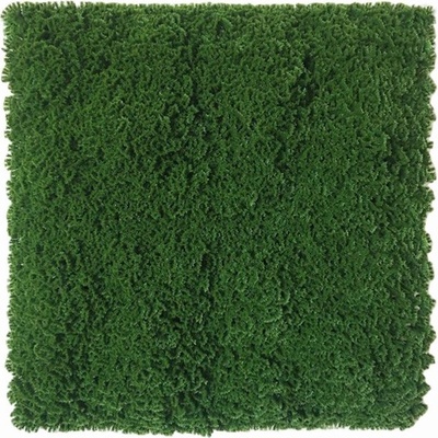 Moss dark green 2, dielec 50 x 50 cm