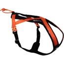 Non-stop dogwear postroj RUSH