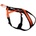 Non-stop dogwear postroj RUSH