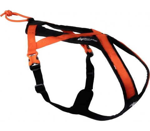 Non-stop dogwear postroj RUSH