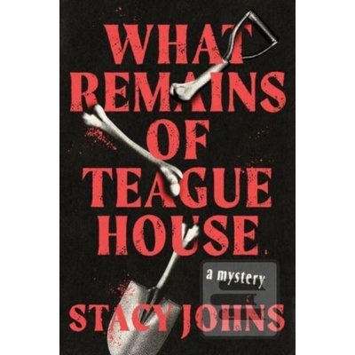 What Remains of Teague House - Stacy Johns