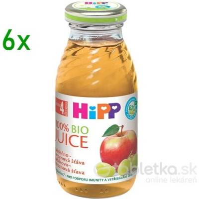 HiPP BIO Jablkovo hroznová šťava 6 x 500 ml