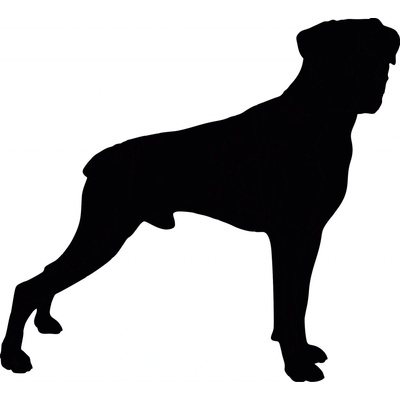 Raveltik hrot BOXER