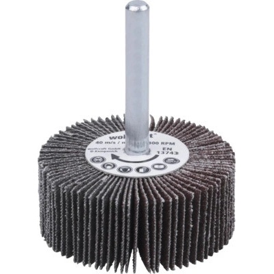 Vejárový brúsny kotúč Wolfcraft Ø 50mm zrnitosť 80