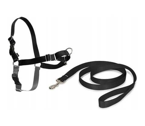EasyPet Postroj pro psa