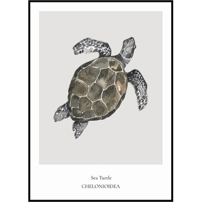 Jen tak z lásky Plakát Sea Turtle Rozměr plakátu: 30 x 40 cm