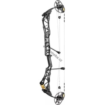 Mathews TITLE 36 SWT