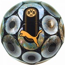 Puma BVB