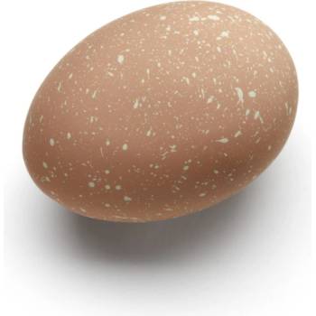 Dekorativní vajíčka Cooee Cafe Au Lait set 2 ks COOEE Design