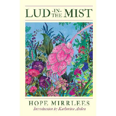 Lud in the mist | mirrlees hope