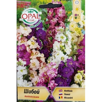 Image 1 of Opal Zi Шибой (Матиола) Matthiola incana