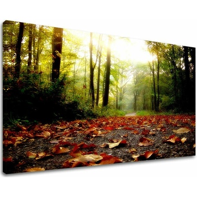 Obraz na stenu STROMY - 60x90 cm