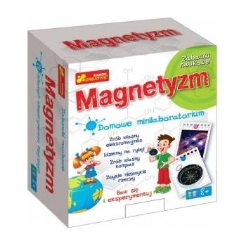 Ranok Creative Home Minilaboratory - Magnetism