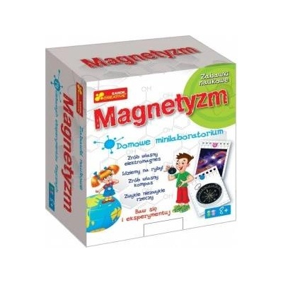 Ranok Creative Home Minilaboratory - Magnetism