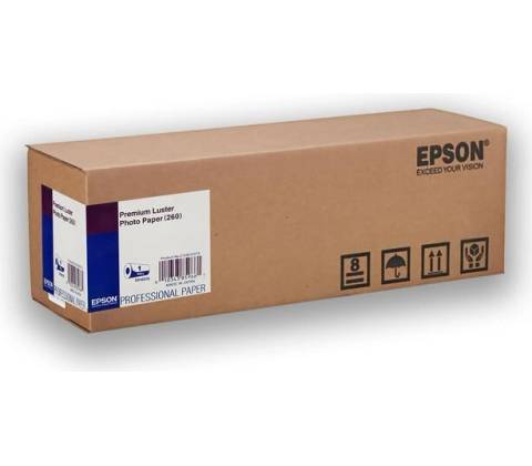 Epson C13S042078