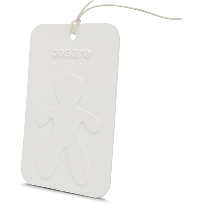 Mr&Mrs Fragrance Cesare Scented Card Fresh Air
