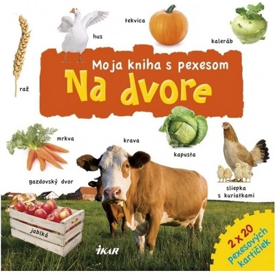 Pexeso – Na dvore